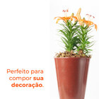 Vaso Conico Polietileno Aldora 66 Café