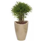 Vaso Copacabana Antique Camurça Varsat  25 X 32 Cm