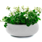 Vaso Cozy G Ice Keter