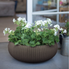 Vaso Cozy G Ice Keter