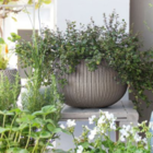 Vaso Cozy Medio Cinza Com Suspensão