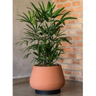 Vaso Cumbuca Bojudo 50x40cm Terracota