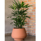 Vaso Cumbuca Bojudo 50x40cm Terracota