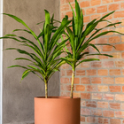 Vaso Cumbuca Alongada G Preto Absoluto