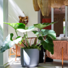 Vaso Cumbuca Alongada G Preto Absoluto