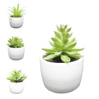 Vaso De Cerâmica Bonsai Ref. 96111