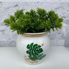 Vaso De Cerâmica Branco Estampa Folha Costela De Adão