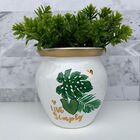 Vaso De Cerâmica Branco Estampa Folha Costela De Adão