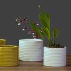 Vaso De Cerâmica Branco Para Plantas Flor Decorativo 11x13cm