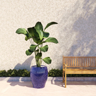 Vaso de Chão Extra Grande em Cerâmica 60x46cm Azul Toscano Bella Art Vetrificados