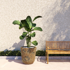 Vaso de Chão Extra Grande em Cerâmica 67x56cm Bege Bag Alto Bella Art Vetrificados