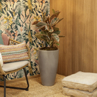 Vaso de Chão Extra Grande em Plástico 53x30cm Cimento Verona Vasart