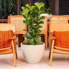 Vaso de Chão Grande Plástico 36x46x46cm Branco Mármore Cone Baixo Vasap Design