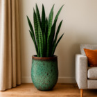 Vaso de Chão Jumbo (acima de 71cm) Cerâmica Moderno 80x51 Verde Musgo