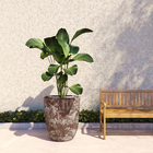 Vaso de Chão Jumbo em Cerâmica 78x68cm Marrom Bag Alto Bella Art Vetrificados