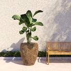 Vaso de Chão Jumbo em Cerâmica 83x56cm Bege Toscano Slim Bella Art Vetrificados