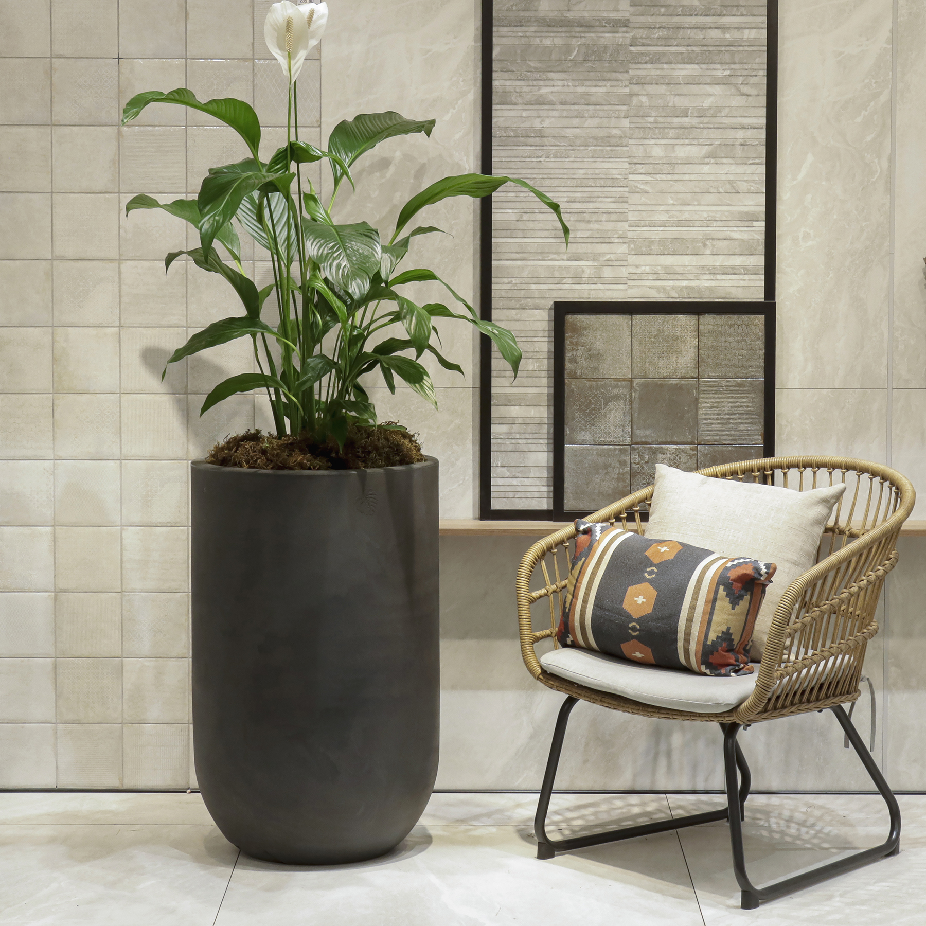 Vaso de Planta com Prato Decô da Vasart