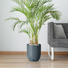 Vaso de Chão Pequeno Plástico 26x35cm Cinza Valencia Floridis
