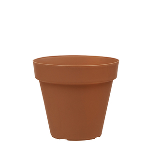 Vaso
