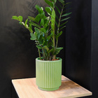 Vaso de Chão Pequeno Plástico  23x20cm Verde Caipirinha SP27 Vasart