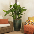 Vaso de Chão Vietnamita Extra Grande em Cerâmica 62x43cm Verde Escuro Liv Ts Brasil