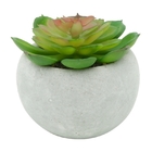 Vaso De Cimento Branco Com Planta Carnicolor Urban