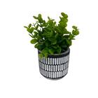 Vaso De Cimento Branco E Preto Com Planta Artificial