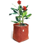 Vaso De Feltro Growbag 15 Litros Cultivo Plantas E Hortas - V