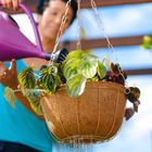 Vaso De Fibra Coco Cuia Nutricoco (media) Nutriplan