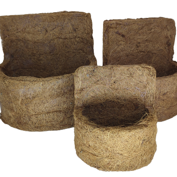 Vaso De Fibra De Coco Parede Médio    Fertilizare