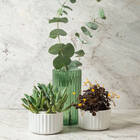 Vaso De Flor M Decorativo Planta Translucido Groove Jardim Ve