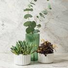 Vaso De Flor M Decorativo Planta Translucido Groove Jardim Ve