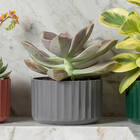 Vaso De Flor Mini Decorativo Planta Cacto Groove Jardim Ou Ch