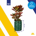 Vaso De Lona Ml Verde 14l