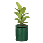 Vaso De Lona Ml Verde 24l