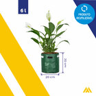 Vaso De Lona Ml Verde 6l