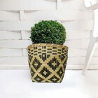 Vaso De Palha Plantas Cesta Artesanal Flores Jardim Quintal C