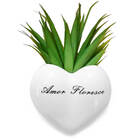 Vaso De Parede Cachepot Coração Amor Floresce