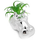 Vaso De Parede Cachepot Hipopótamo Prateado Porcelana