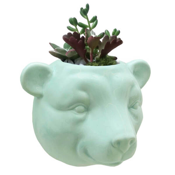 Vaso De Parede Cachepot Urso Verde Cerâmica