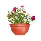 Vaso De Parede Médio Cor Cerâmica