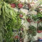 Vaso De Parede Médio Cor Cerâmica