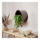 Vaso De Parede Polietileno Para Decoração Peça Versátil E Ele