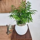 Vaso De Planta 15x20 Cm Decorativo Pequeno Redondo De Polieti