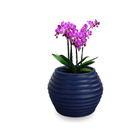Vaso De Planta 15x20 Cm Decorativo Pequeno Redondo De Polieti