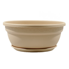 Vaso de Planta Baixo em Plastico 12x27,6cm Cuia com Prato Areia Vicenza Desli