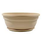 Vaso de Planta Baixo em Plastico 14,5x35cm Cuia com Prato Areia Vicenza Desli