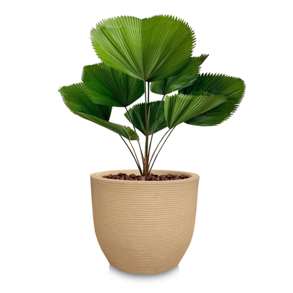 Vaso De Planta Decorativo 45x50 Cm Grande Luxo De Polietileno