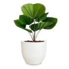 Vaso De Planta Decorativo 45x50 Cm Grande Luxo De Polietileno