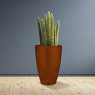 Vaso de Planta Extra Grande Plástico 65x41x0,3cm Marrom Café